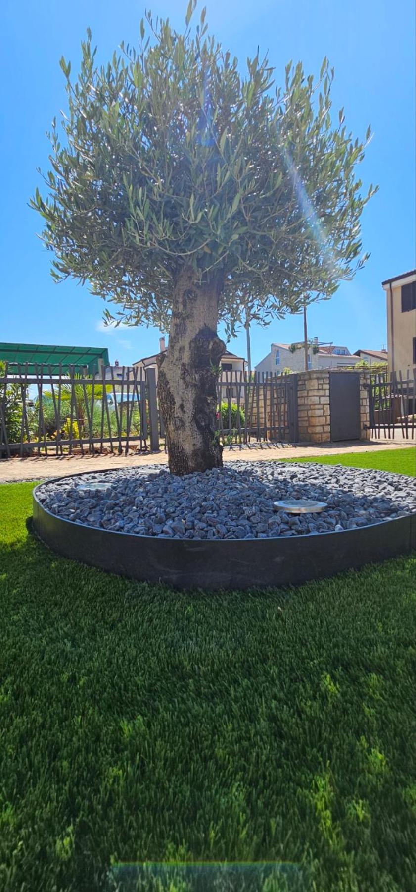 Kadenca Lägenhet Umag Rum bild