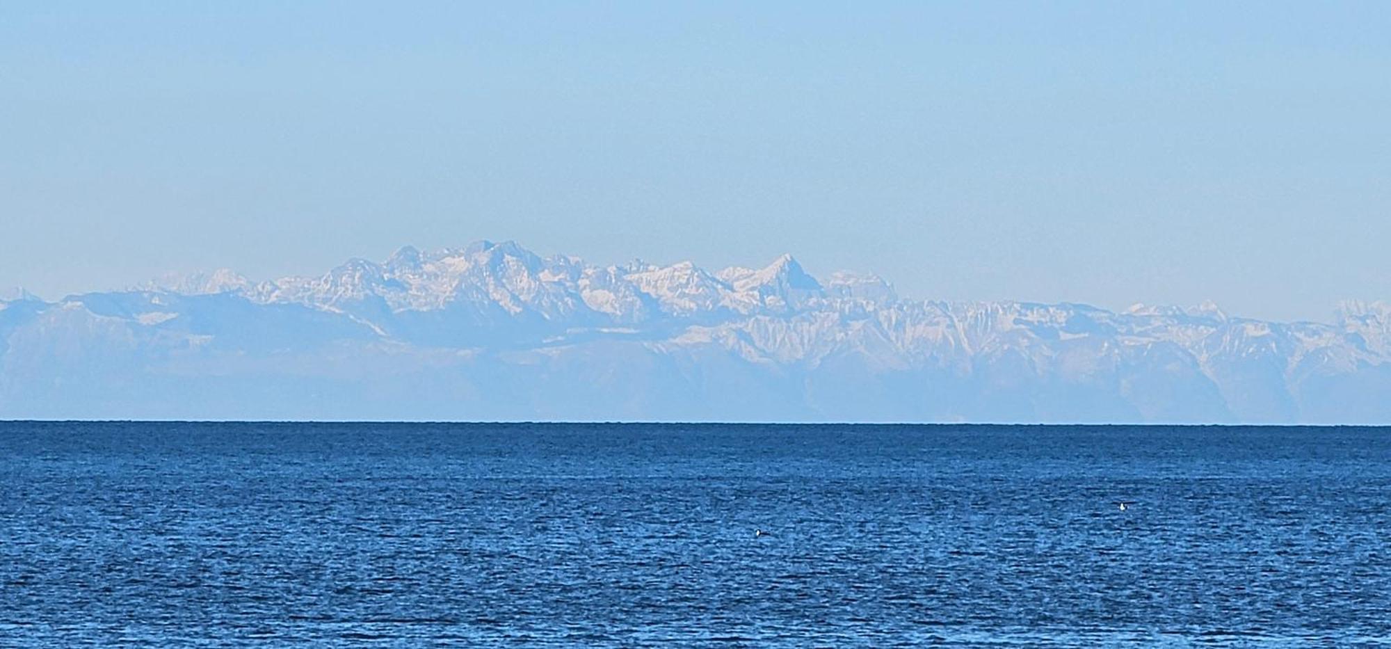 Kadenca Lägenhet Umag Exteriör bild